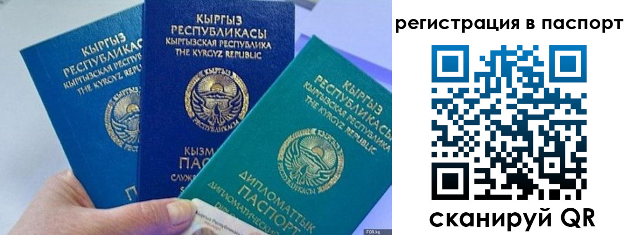 прописка 2025 в Озёрске